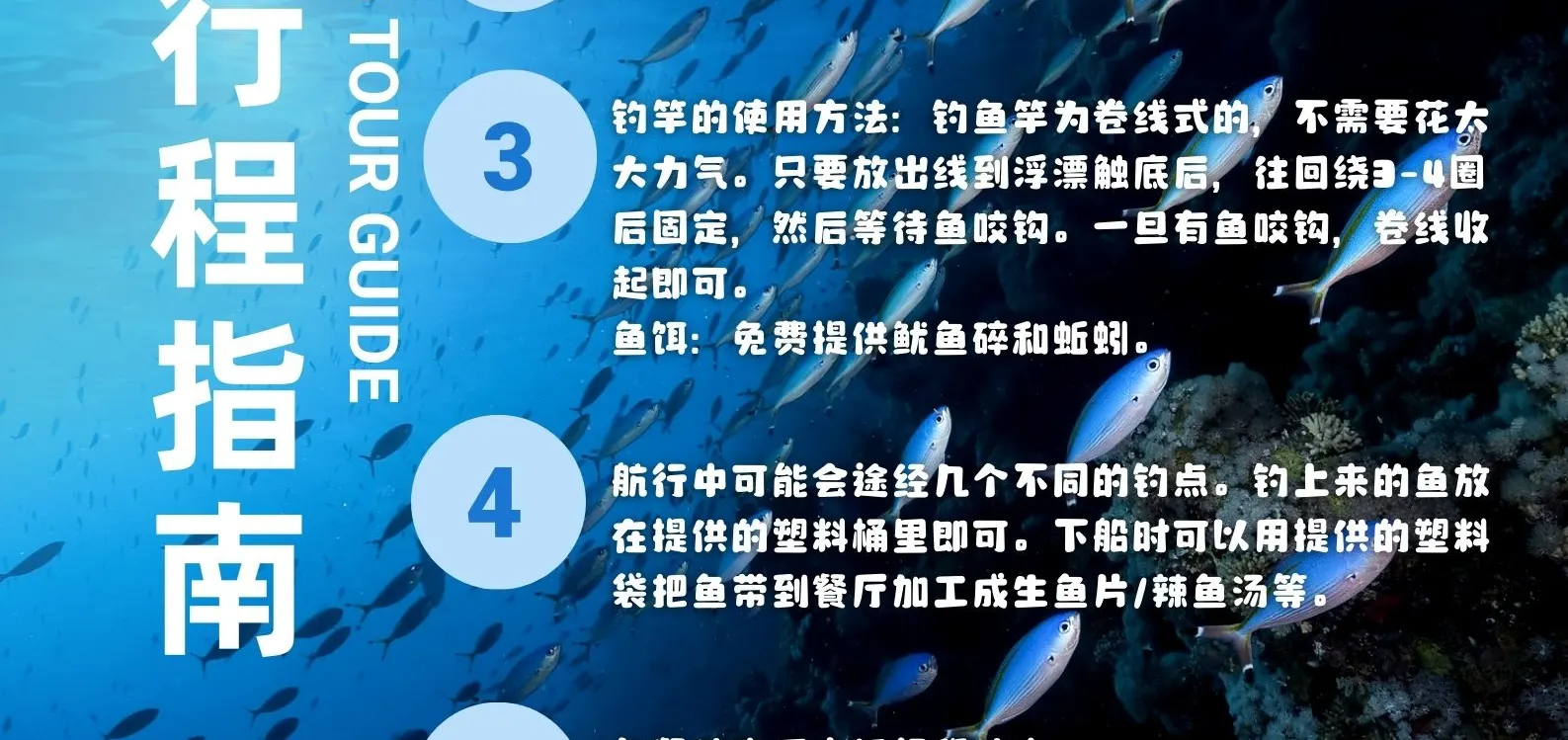 济州岛海钓之旅（含午餐）| 济州岛难忘的钓鱼之旅